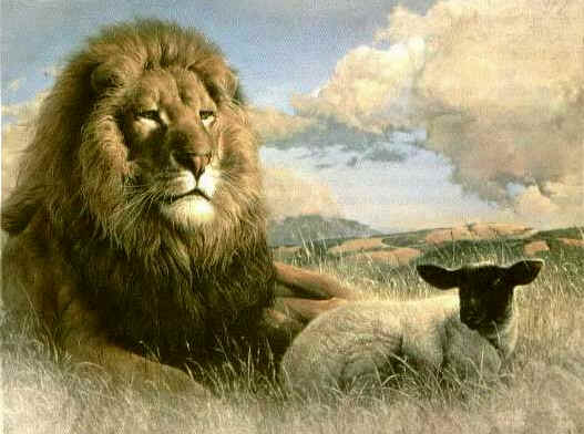 Lion_and_lamb_002