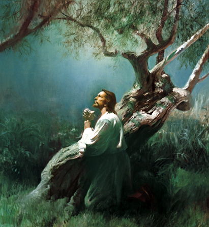 Jesus-praying-in-gethsemane-39591-gallery