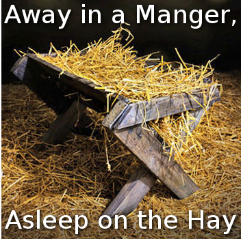 Manger-straw