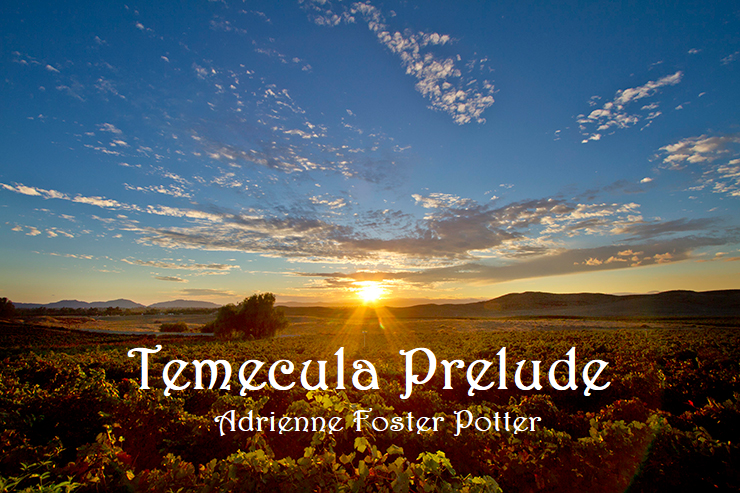 Temecula_cover