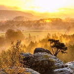 Mountains-hills-scenic-trees-forest-sunrise-sunset-morning-dawn-fog-mist-sky-high-resolution-1080p-wallpaper_-_copy