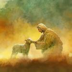 0053406_the-lost-sheep_-_1x1