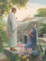In the Garden