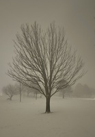 Endure the Season