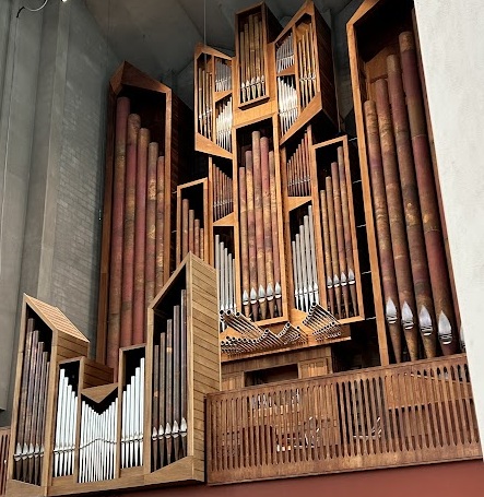 Organ