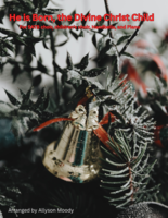 He is Born, the Divine Christ Child