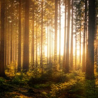 Sweet Whispers of The Spirit