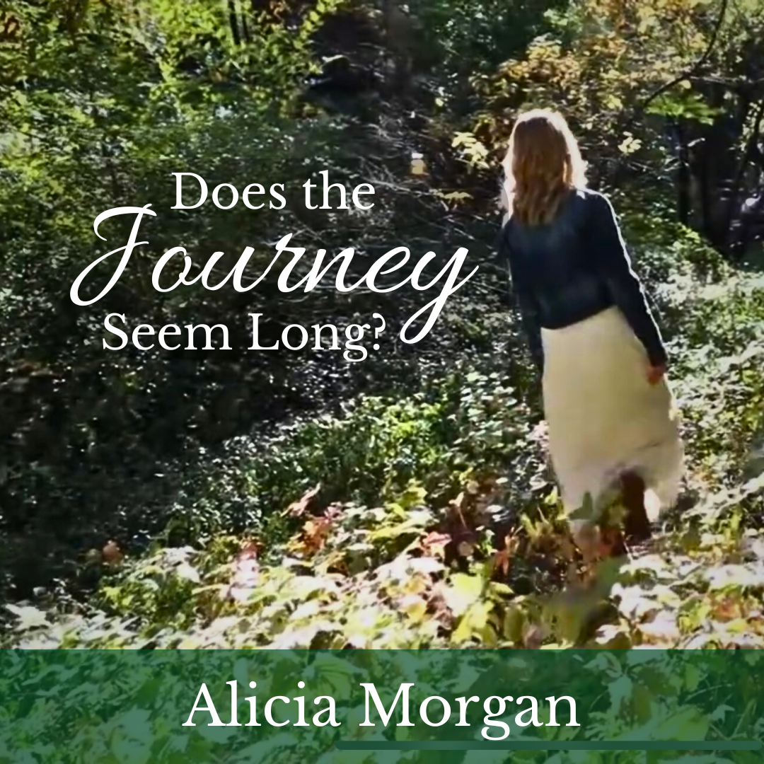 Copy_of_does_the_journey_seem_long